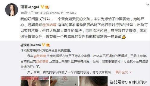 老馬老婆爆料視頻播放在線觀看,揭秘背后驚人真相