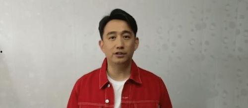 黃磊圈內(nèi)人爆料視頻,娛樂圈背后的真實故事