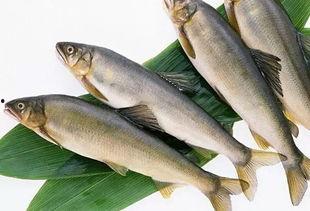 新聞爆料海魚事件,揭秘神秘海魚事件真相