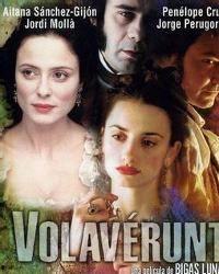 赤貴婦在線觀看,激情燃燒的宮廷秘史