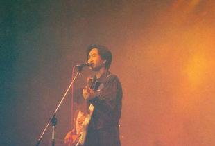 卓偉最新爆料家駒還活著