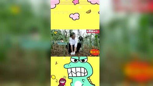 兔小兔娛樂(lè)爆料,娛樂(lè)圈最新動(dòng)態(tài)大揭秘！