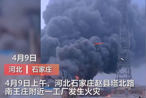 椒江最新爆料事件視頻曝光,視頻曝光揭示驚人真相